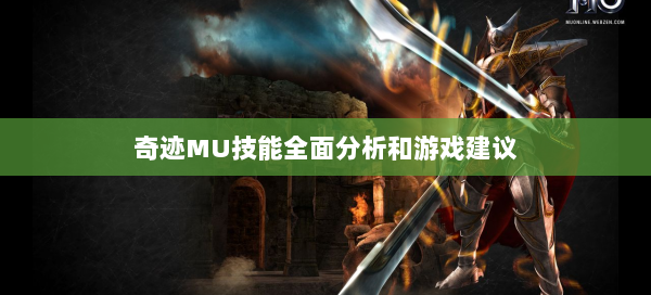 奇迹MU技能全面分析和游戏建议 第3张