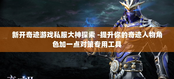 新开奇迹游戏私服大神探索 -提升你的奇迹人物角色加一点对策专用工具  第2张